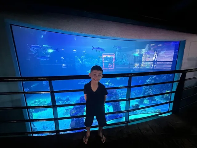Aquário, Cancún · México